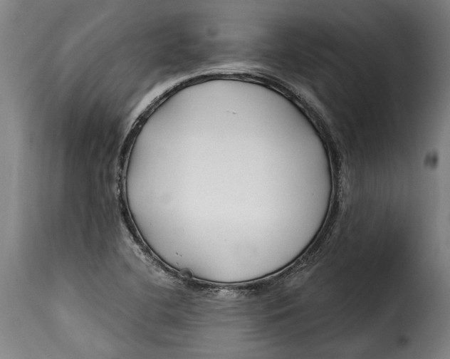 X0000115241412200911201610