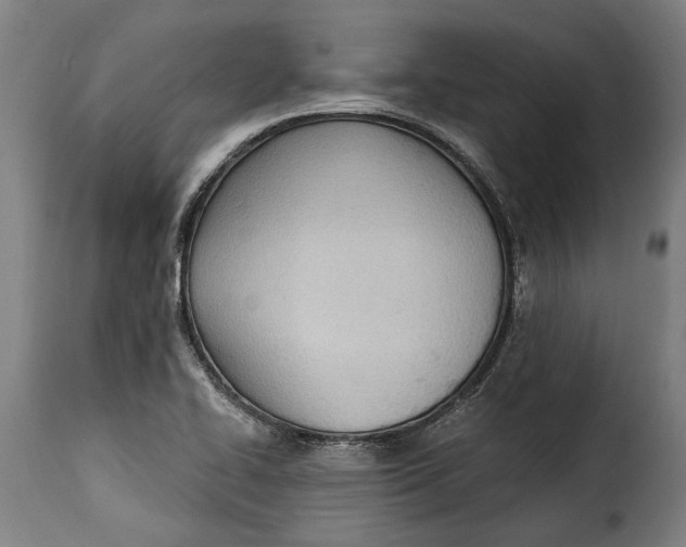 X0000115241414200911201610