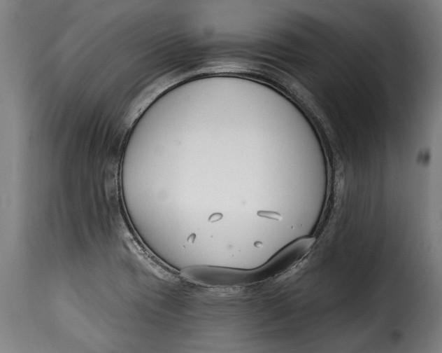 X0000115241417200911201610