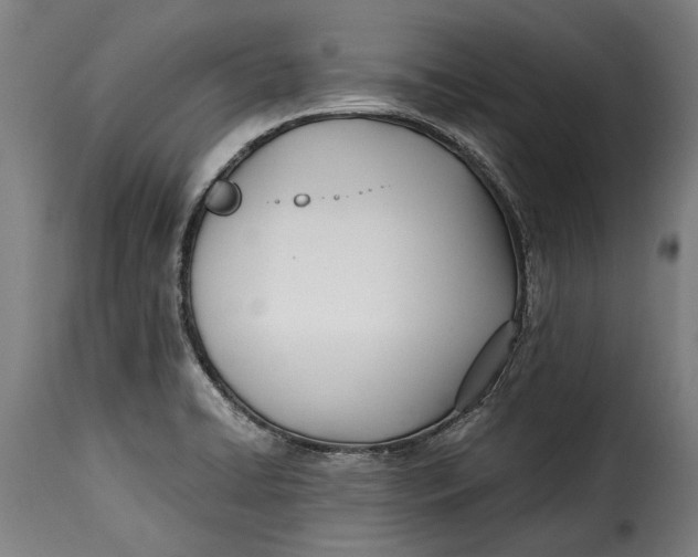 X0000115241422200911201610