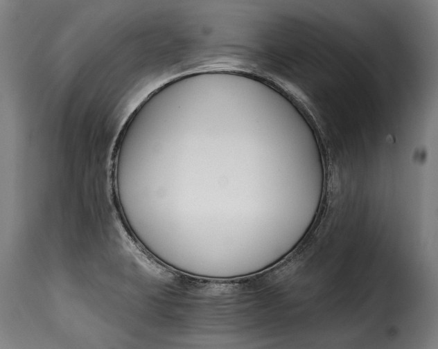 X0000115241423200911201610