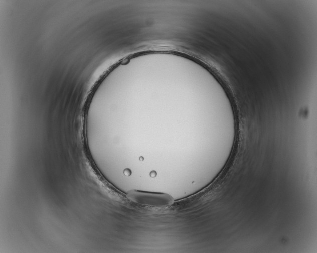 X0000115241424200911201610