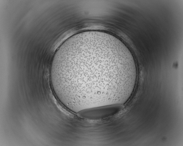 X0000115241425200911201610