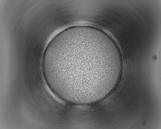 X0000115241429200911201610