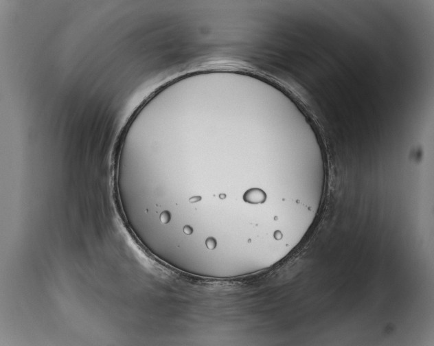 X0000115241430200911201610