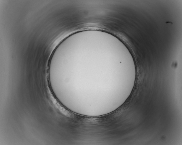 X0000115241431200911201610