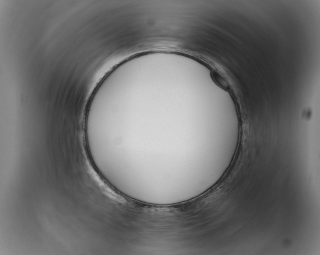 X0000115241432200911201610