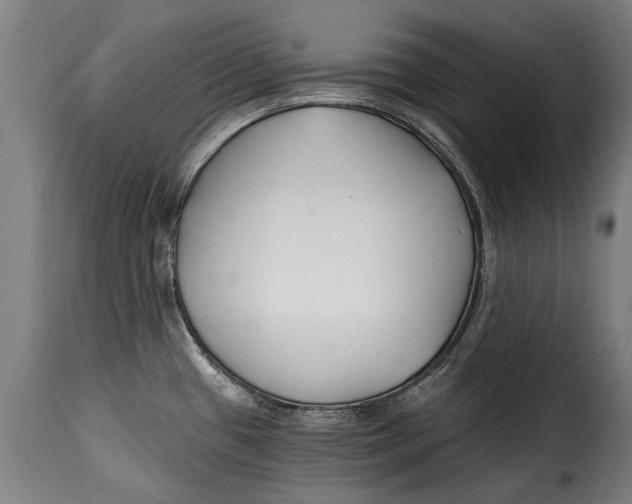 X0000115241433200911201610