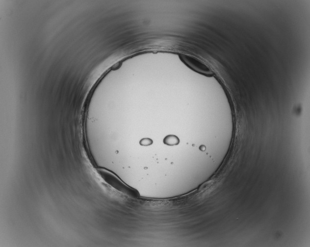 X0000115241434200911201610