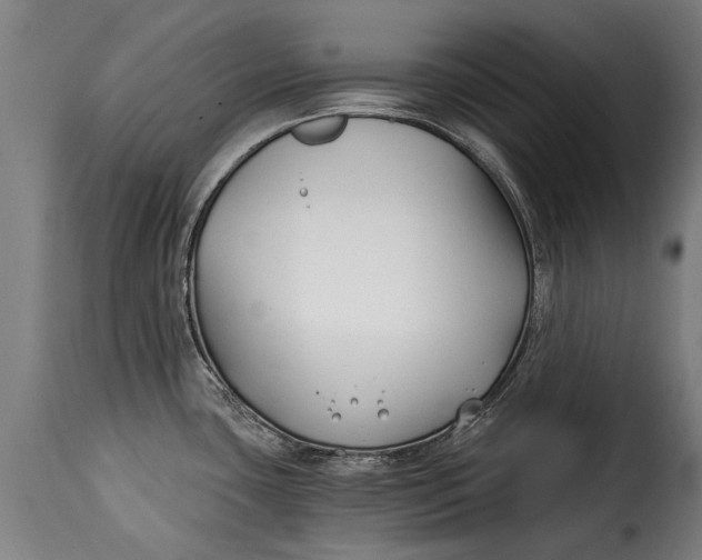 X0000115241435200911201610