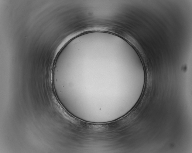 X0000115241436200911201610