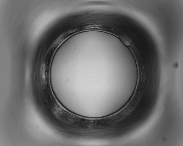 X0000115241438200911201610