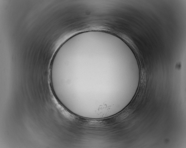 X0000115241439200911201610