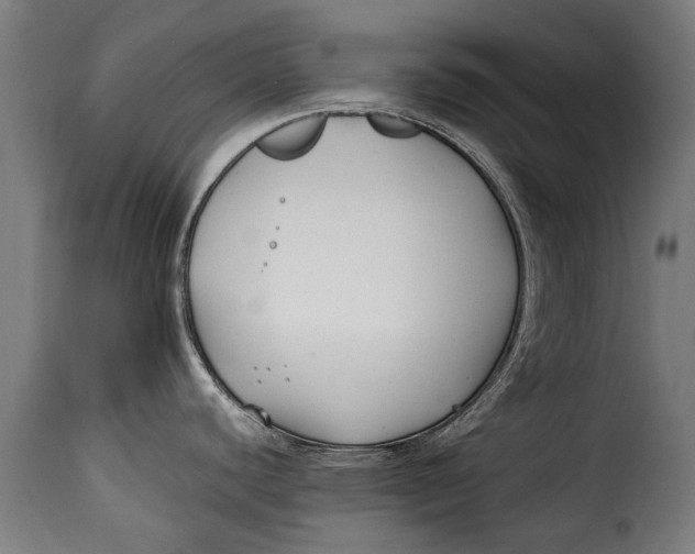 X0000115241440200911201610