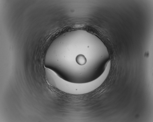 X0000115241441200911201610