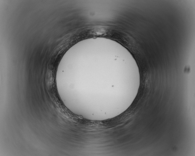 X0000115241442200911201610