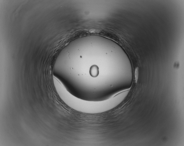 X0000115241443200911201610