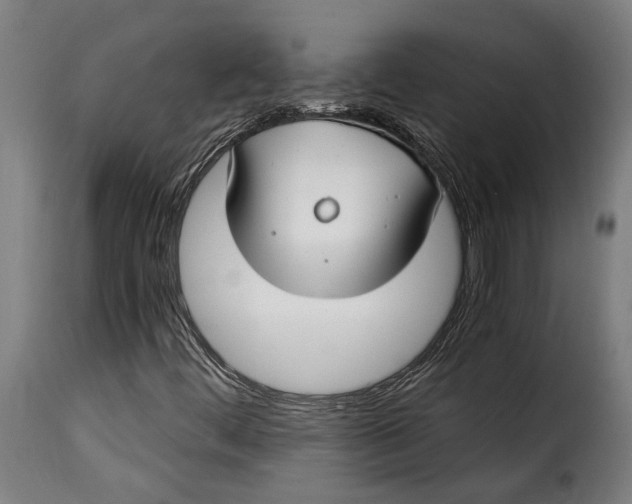 X0000115241444200911201610