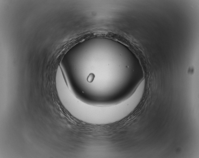 X0000115241445200911201610