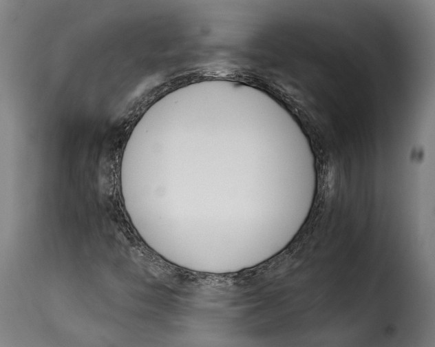 X0000115241446200911201610