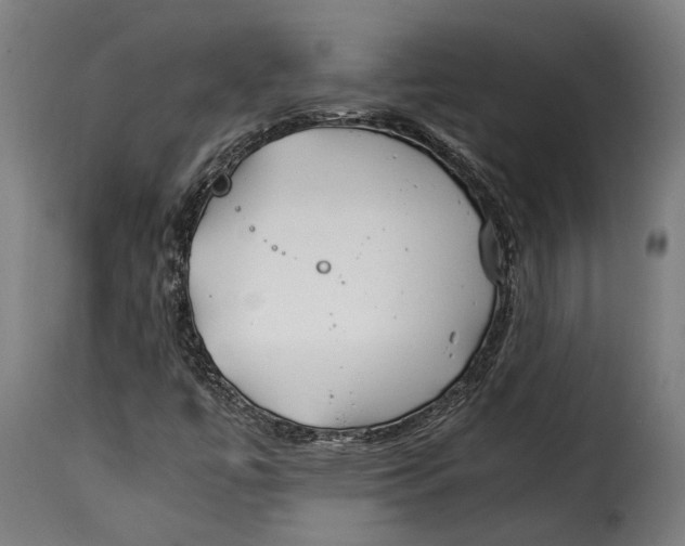 X0000115241447200911201610