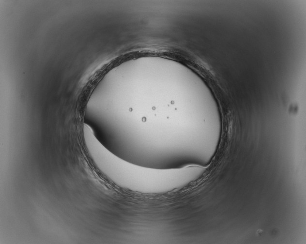 X0000115241448200911201610
