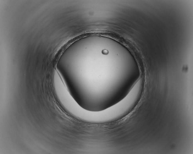 X0000115241449200911201610