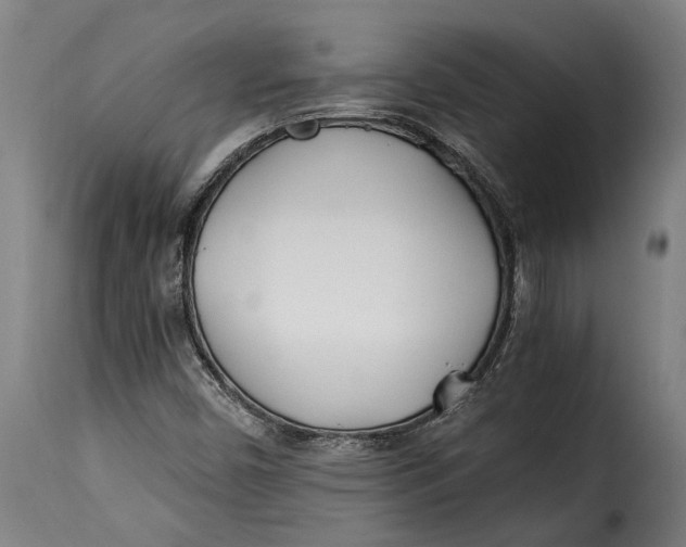 X0000115241450200911201610