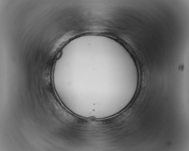X0000115241451200911201610