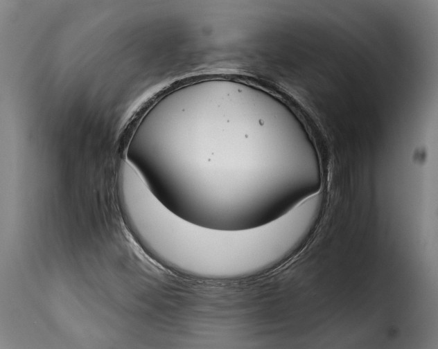 X0000115241452200911201610