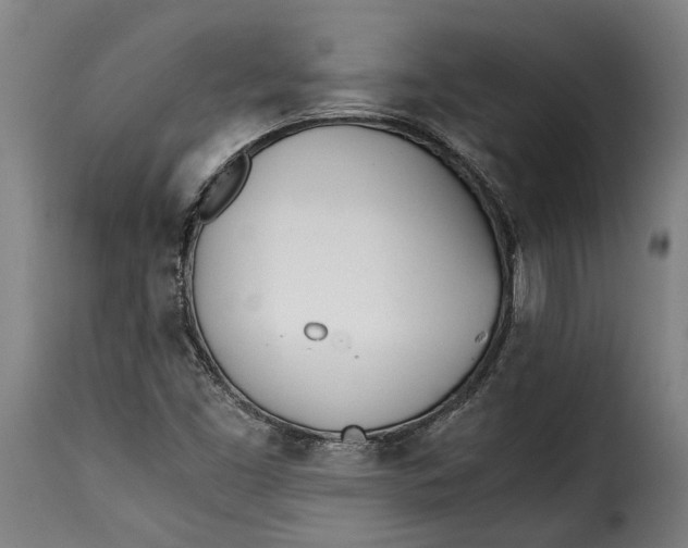 X0000115241453200911201610