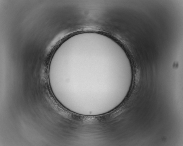 X0000115241454200911201610