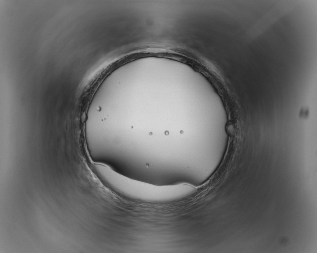 X0000115241456200911201610
