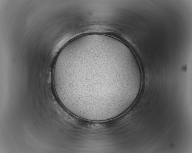 X0000115241459200911201610