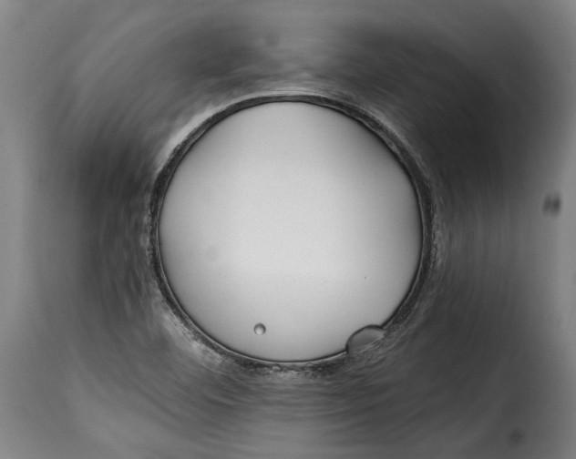 X0000115241460200911201609