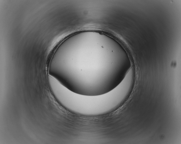 X0000115241461200911201609