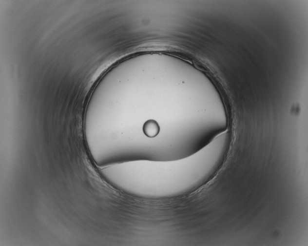 X0000115241465200911201609