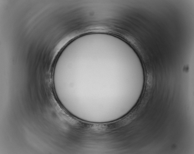 X0000115241466200911201609