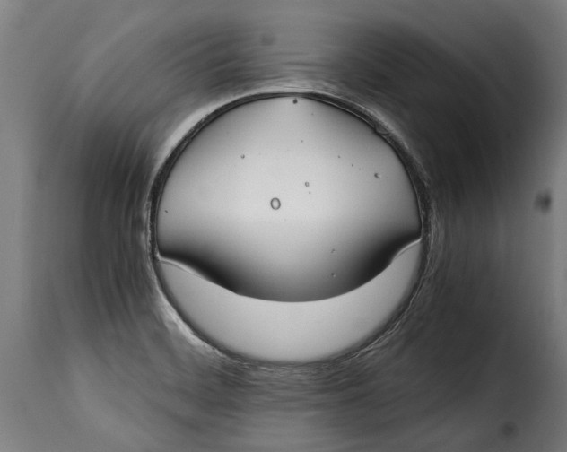 X0000115241468200911201609