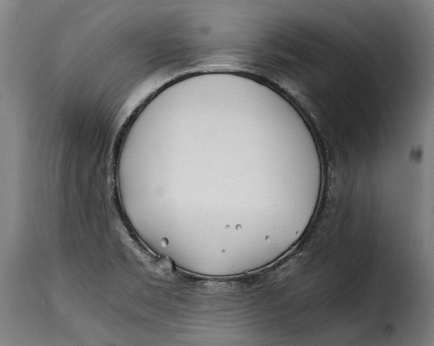 X0000115241469200911201609