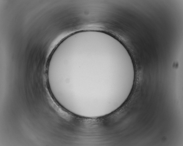 X0000115241470200911201609