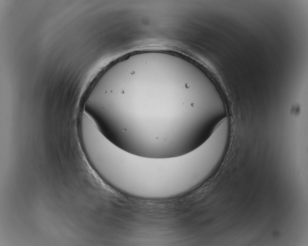 X0000115241472200911201609
