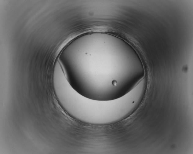 X0000115241473200911201609