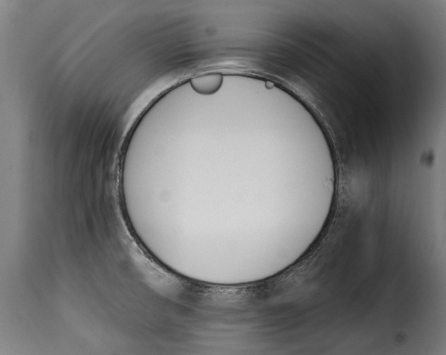 X0000115241474200911201609