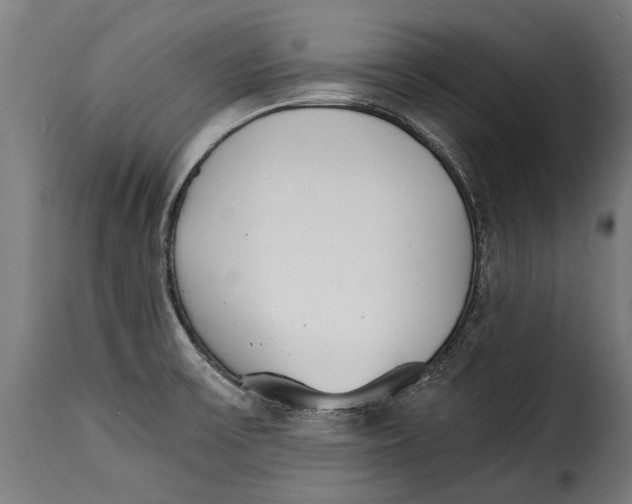 X0000115241475200911201609