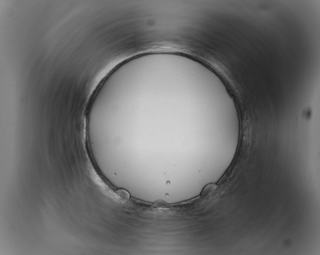 X0000115241476200911201609