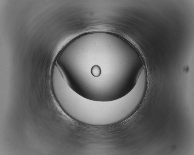 X0000115241477200911201609