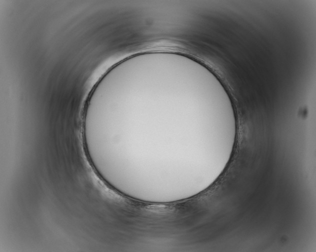 X0000115241478200911201609