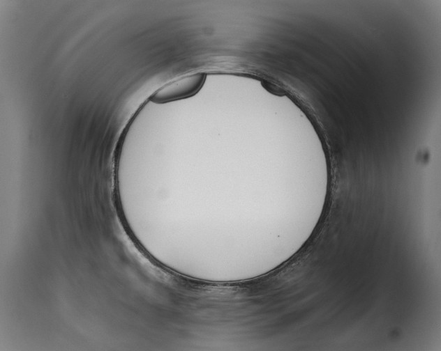 X0000115241479200911201609