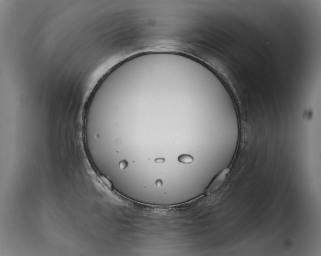 X0000115241480200911201609